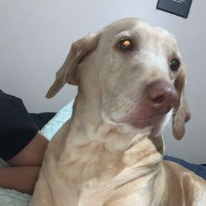 Meet your Posher, Destiny